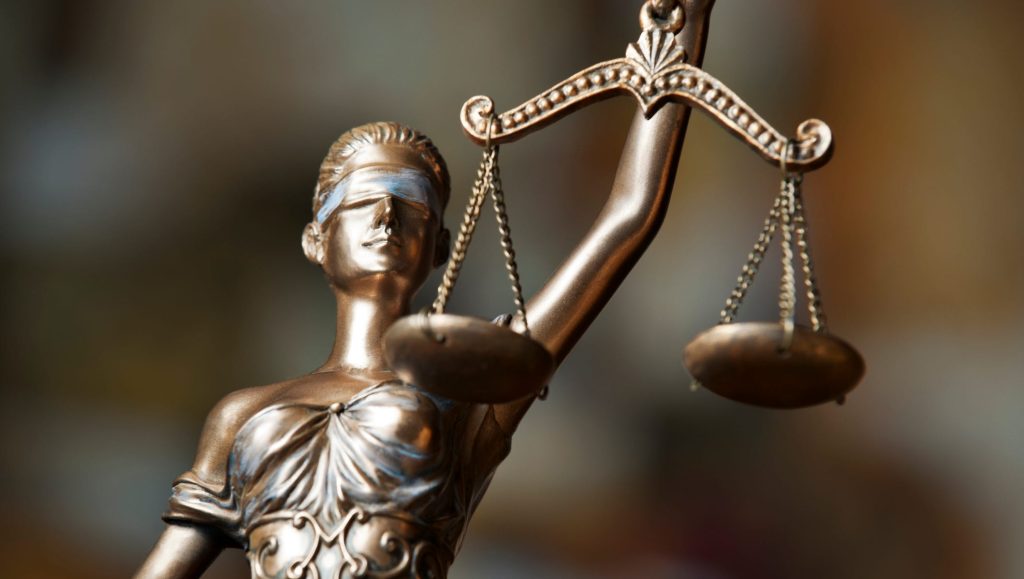 Immigration Lawyer 